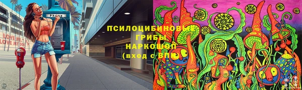 твердый Арсеньев